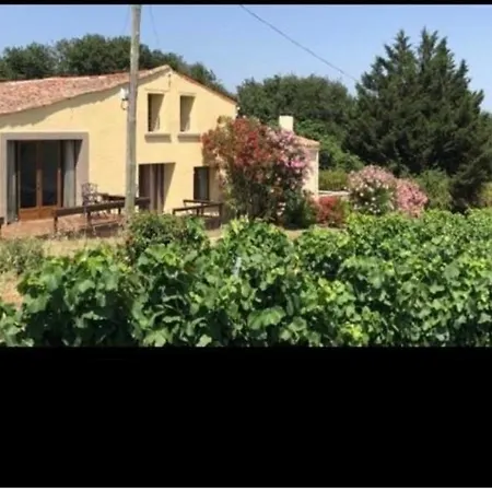 La Maison Tourouzelle * Lauraguel